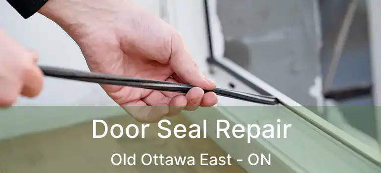  Door Seal Repair Old Ottawa East - ON