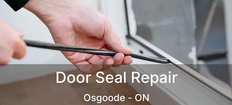 Door Seal Repair Osgoode - ON