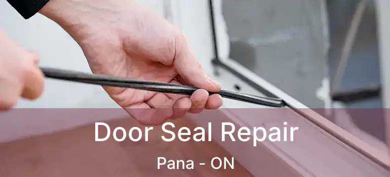  Door Seal Repair Pana - ON