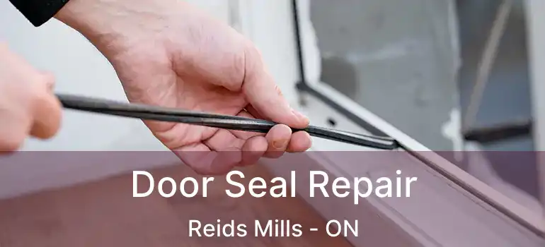  Door Seal Repair Reids Mills - ON