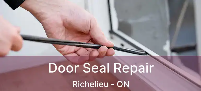 Door Seal Repair Richelieu - ON