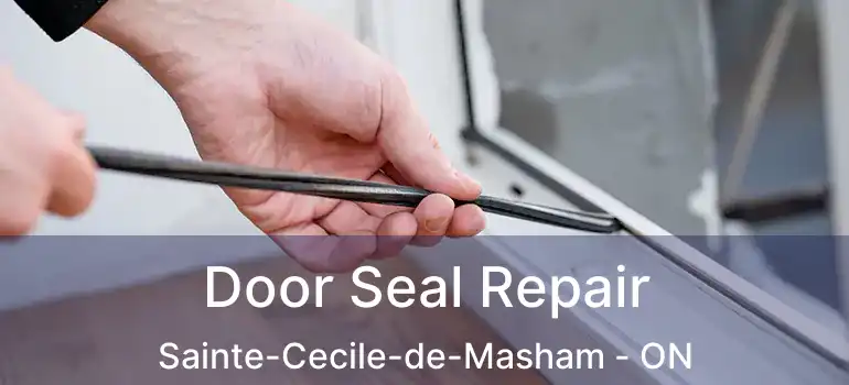  Door Seal Repair Sainte-Cecile-de-Masham - ON