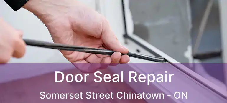  Door Seal Repair Somerset Street Chinatown - ON