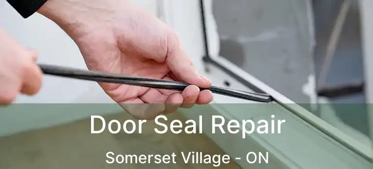  Door Seal Repair Somerset Village - ON