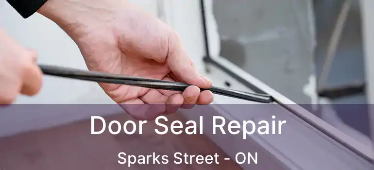  Door Seal Repair Sparks Street - ON