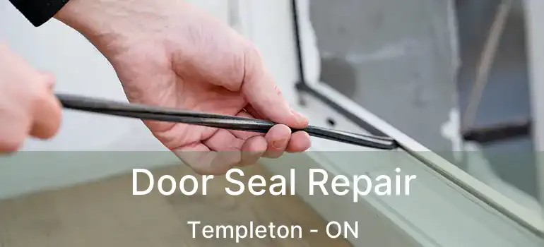 Door Seal Repair Templeton - ON