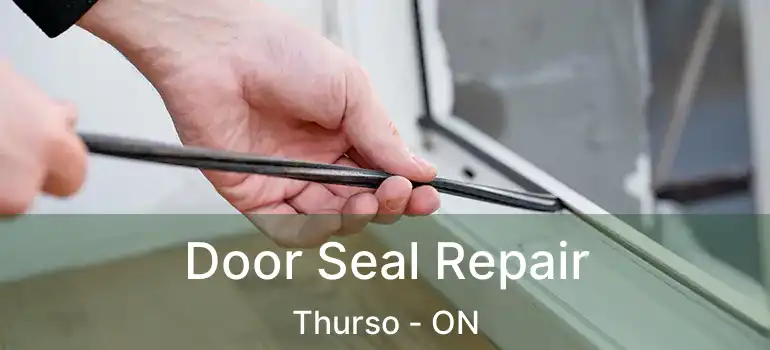  Door Seal Repair Thurso - ON