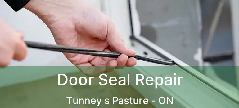Door Seal Repair Tunney s Pasture - ON