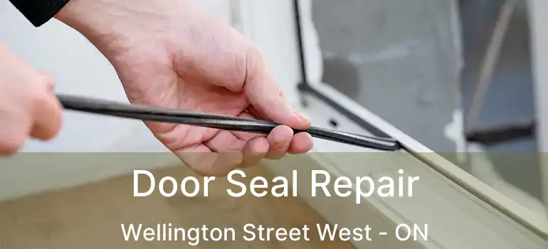  Door Seal Repair Wellington Street West - ON