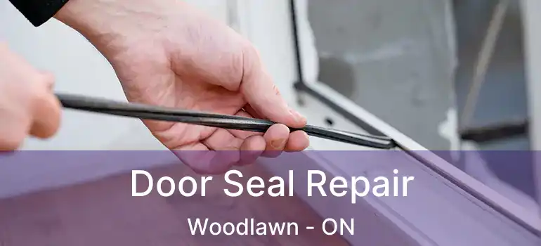  Door Seal Repair Woodlawn - ON
