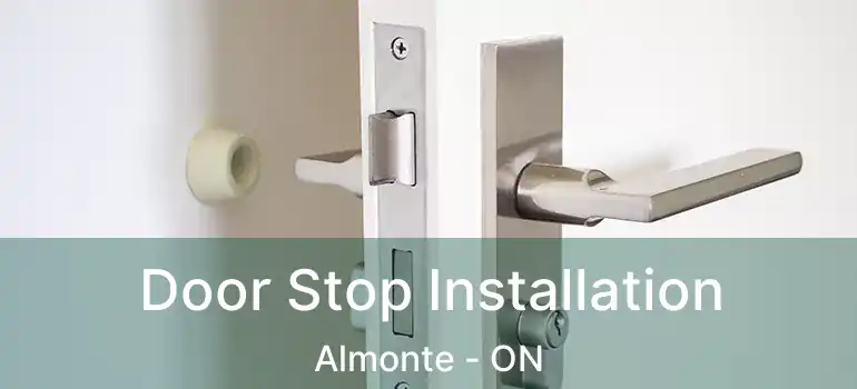 Door Stop Installation Almonte - ON