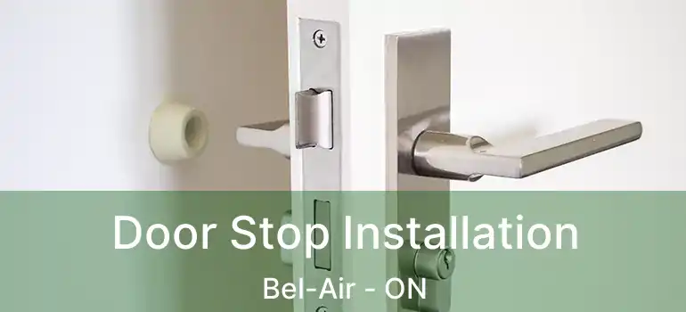 Door Stop Installation Bel-Air - ON