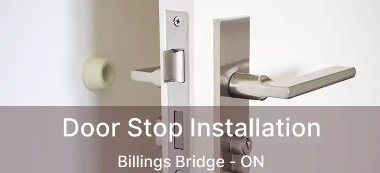 Door Stop Installation Billings Bridge - ON