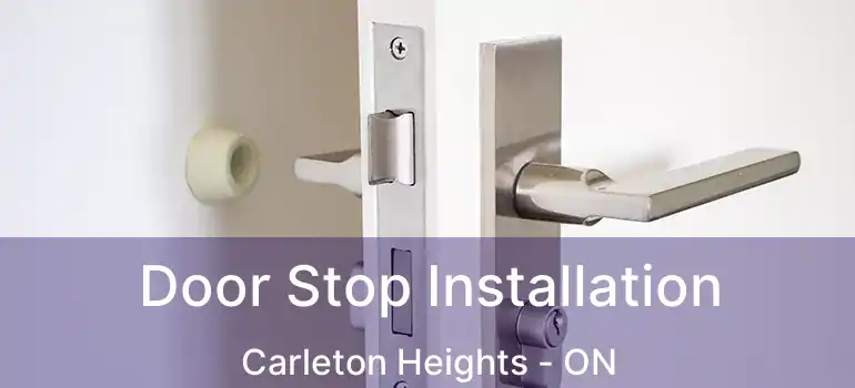 Door Stop Installation Carleton Heights - ON