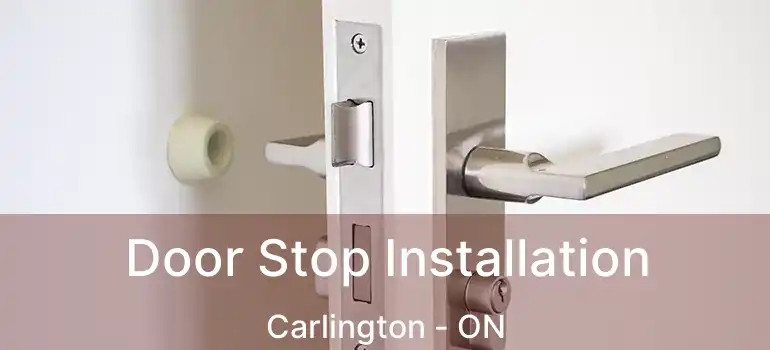 Door Stop Installation Carlington - ON