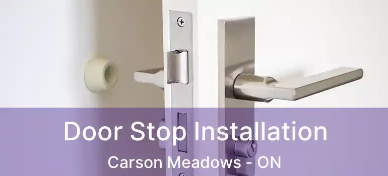 Door Stop Installation Carson Meadows - ON
