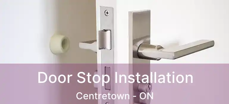 Door Stop Installation Centretown - ON