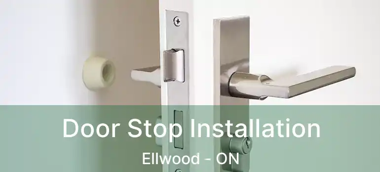 Door Stop Installation Ellwood - ON