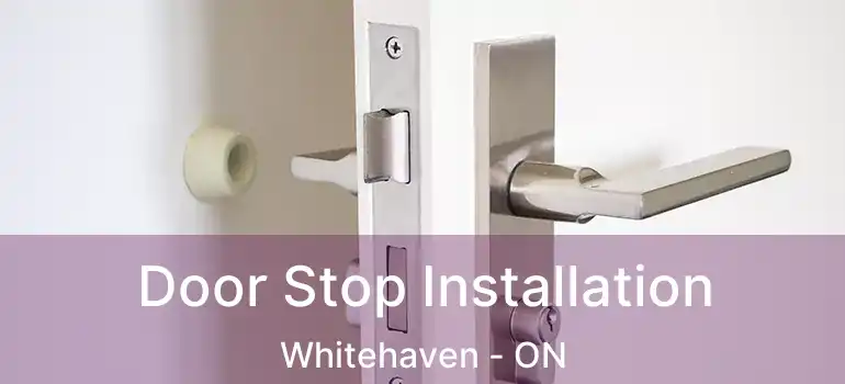 Door Stop Installation Whitehaven - ON