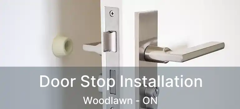 Door Stop Installation Woodlawn - ON