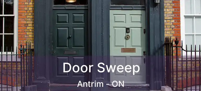  Door Sweep Antrim - ON