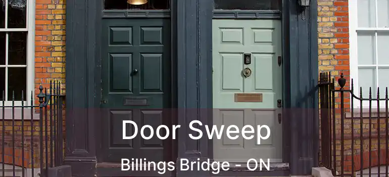 Door Sweep Billings Bridge - ON