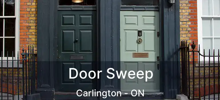  Door Sweep Carlington - ON