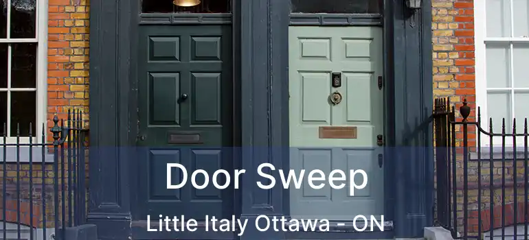 Door Sweep Little Italy Ottawa - ON