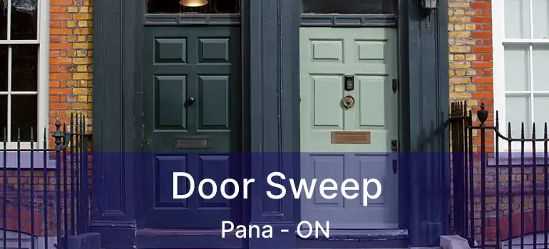  Door Sweep Pana - ON