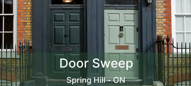 Door Sweep Spring Hill - ON