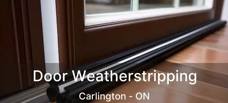 Door Weatherstripping Carlington - ON