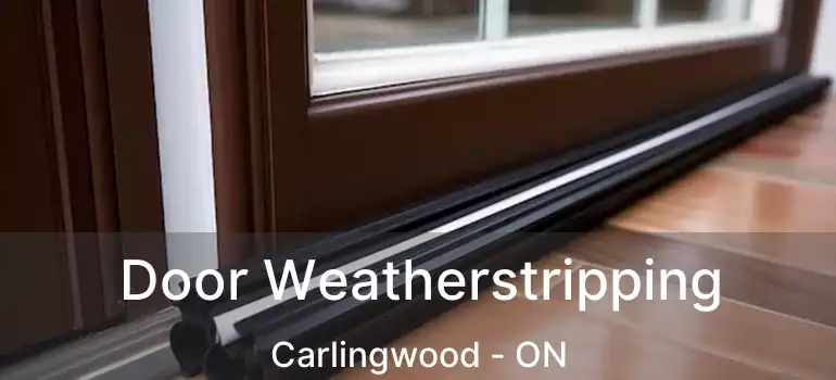 Door Weatherstripping Carlingwood - ON