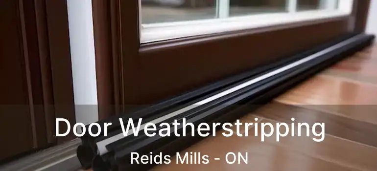 Door Weatherstripping Reids Mills - ON