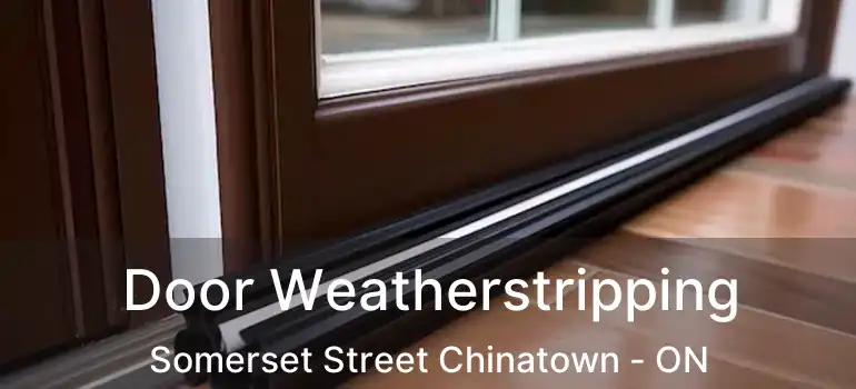 Door Weatherstripping Somerset Street Chinatown - ON