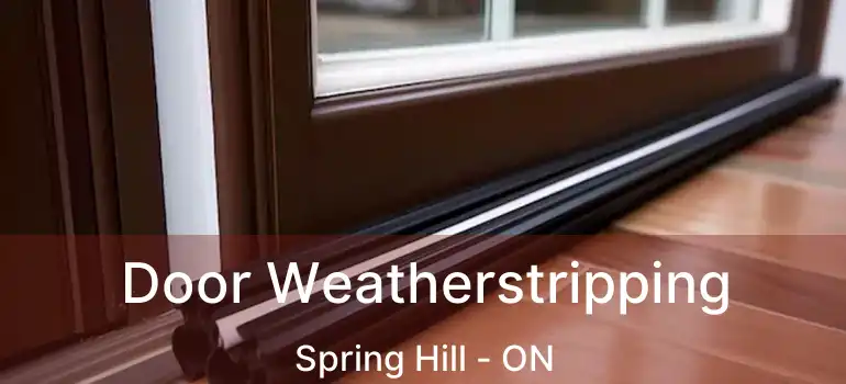 Door Weatherstripping Spring Hill - ON