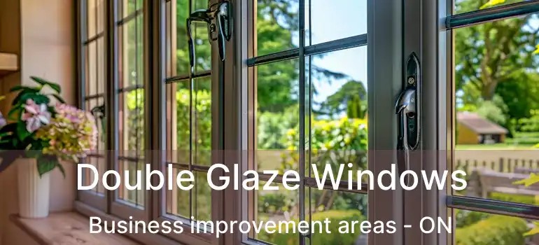 Double Glaze Windows Business improvement areas - ON