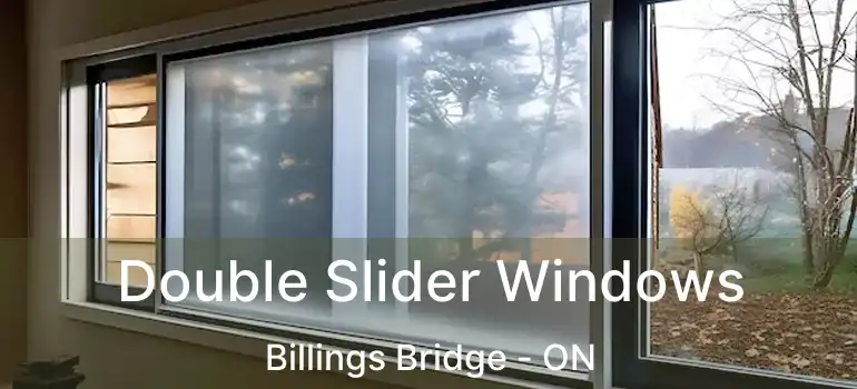 Double Slider Windows Billings Bridge - ON