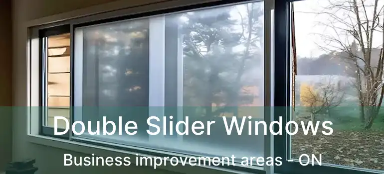 Double Slider Windows Business improvement areas - ON
