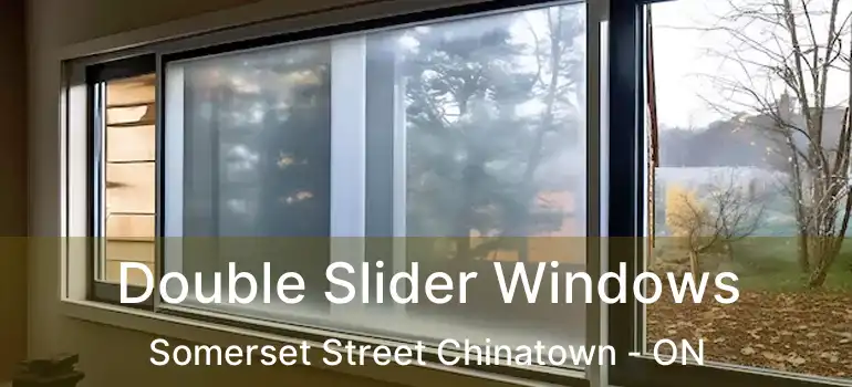 Double Slider Windows Somerset Street Chinatown - ON