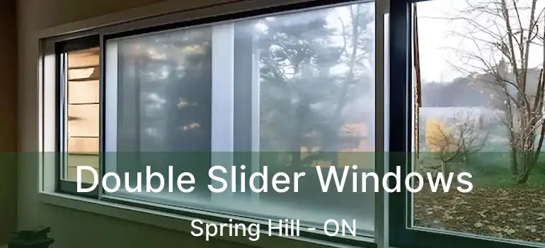 Double Slider Windows Spring Hill - ON