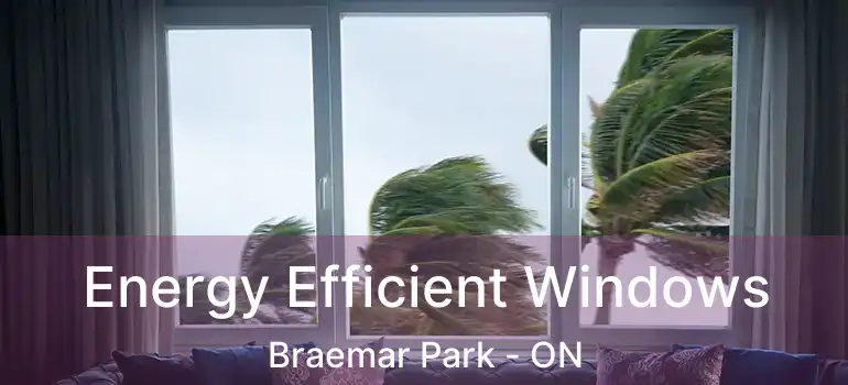 Energy Efficient Windows Braemar Park - ON