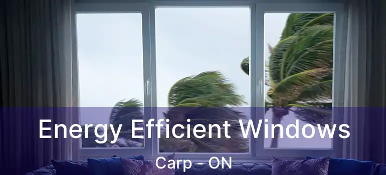 Energy Efficient Windows Carp - ON
