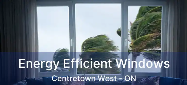 Energy Efficient Windows Centretown West - ON