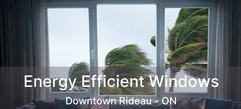 Energy Efficient Windows Downtown Rideau - ON