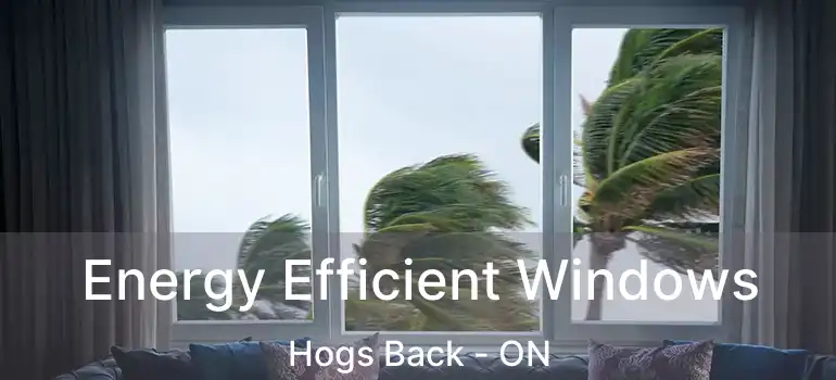 Energy Efficient Windows Hogs Back - ON