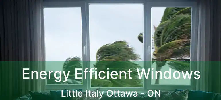 Energy Efficient Windows Little Italy Ottawa - ON