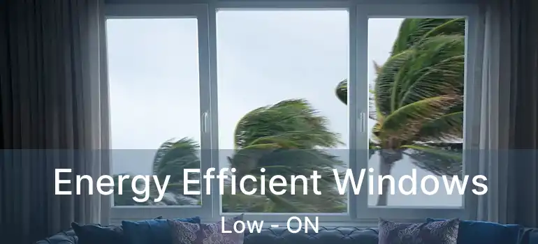 Energy Efficient Windows Low - ON