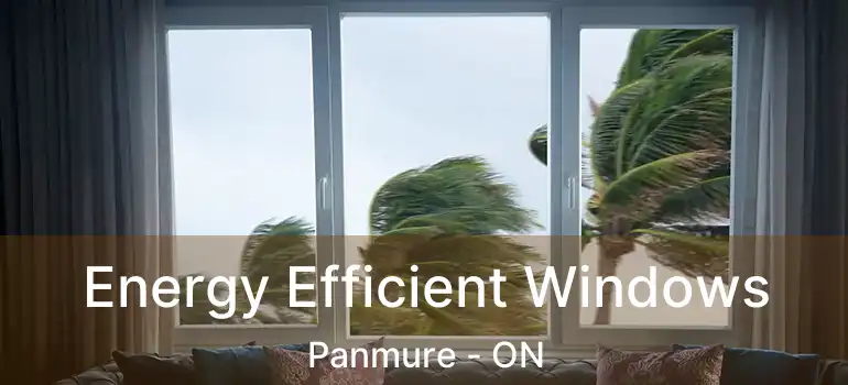 Energy Efficient Windows Panmure - ON
