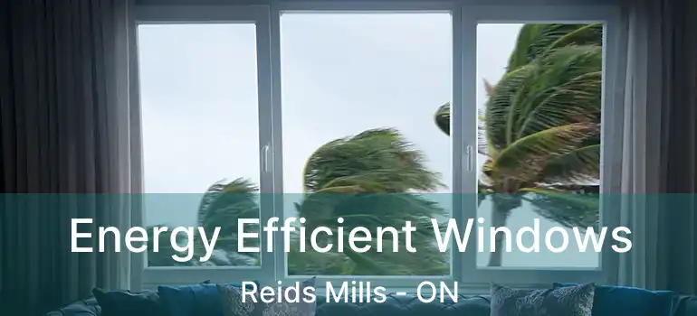 Energy Efficient Windows Reids Mills - ON