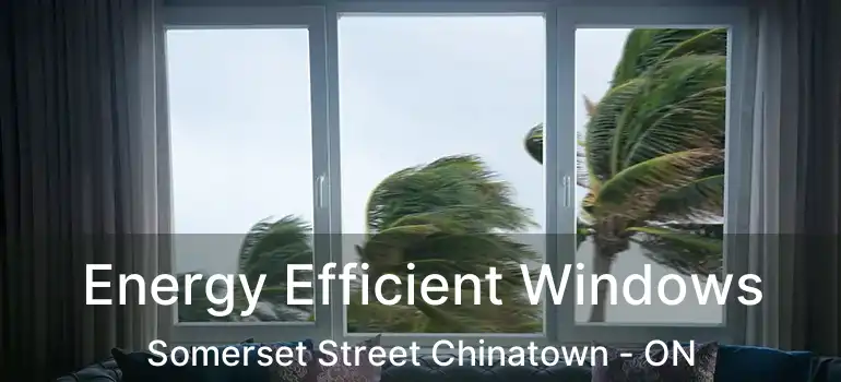 Energy Efficient Windows Somerset Street Chinatown - ON